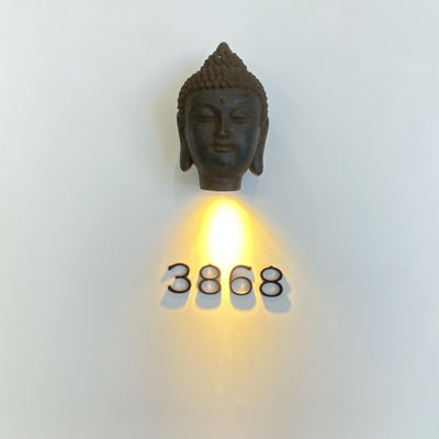 Podświetlane metalowe tabliczki adresowe ze stali nierdzewnej 304 Mocowanie śrubowe